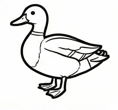 how to draw a duck step by step 1.webp